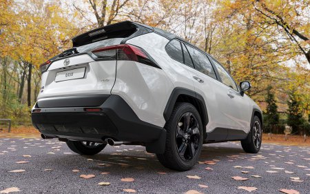 Toyota         RAV4